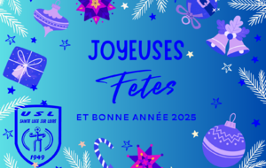 JOYEUSES FETES ET BONNE ANNEE