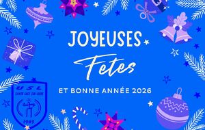 JOYEUSES FETES ET BONNE ANNEE